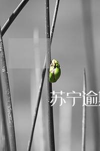 苏宁逾期10天没有还款(苏宁逾期20天)