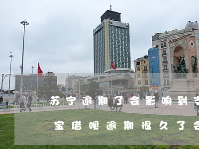 苏宁逾期了会影响到支付宝借呗吗(如果支付宝借呗逾期很久了,会有什么后果)