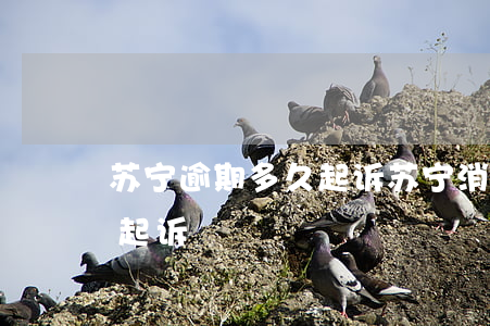 苏宁逾期多久起诉(苏宁消费金融逾期多久会起诉)