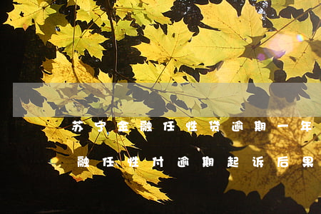苏宁金融任性贷逾期一年了会起诉吗（苏宁金融任性付逾期起诉后果）
