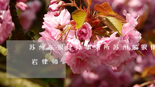 苏州东银律师事务所(苏州东银律师事务所石岩律师)