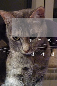 苏州城管法律法规培训(涉及城市管理方面法律法规知识有哪些)