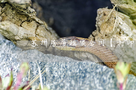 苏州房屋租赁合同【打印】