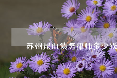 苏州昆山债务律师多少钱 昆山讨债律师