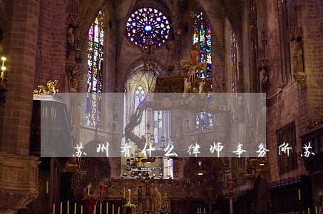 苏州有什么律师事务所(苏州有多少律师)