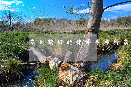 苏州较好的律师事务所(苏州最有名的律师)