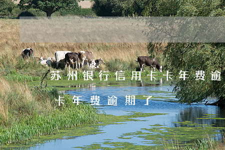 苏州银行信用卡卡年费逾期(苏州银行信用卡卡年费逾期了)