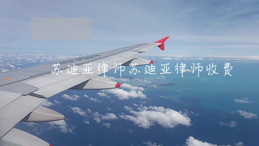 苏迪亚律师(苏迪亚律师收费)