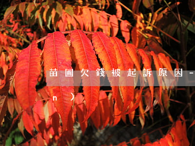 苗圃欠錢被起訴原因-苗圃的資產(chǎn)