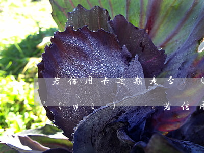 若信用卡逾期是否會(huì)影響考公務(wù)員-若信用卡逾期是否會(huì)影響考公務(wù)員政審