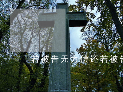 若被告无力偿还(若被告无力偿还)