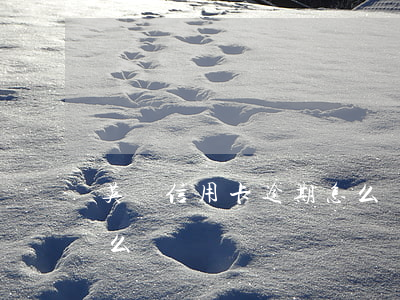 英國信用卡逾期怎么處理(美國信用卡逾期怎么辦)