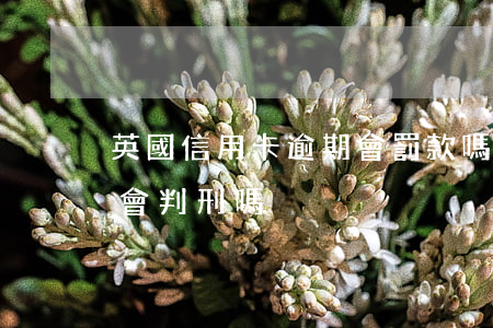 英國信用卡逾期會罰款嗎(外國人信用卡逾期會判刑嗎)