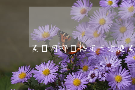 英國用哪種信用卡方便（英國銀行信用卡利息）