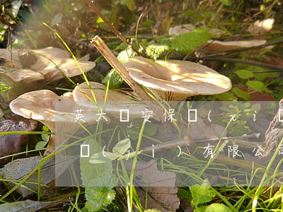 英大長安保險(xiǎn)經(jīng)紀(jì)有限公司