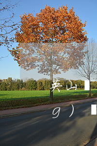 英山網(wǎng)貸逾期(英山網(wǎng)貸逾期怎么辦)
