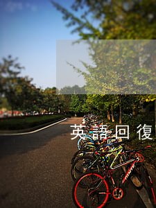 英語回復(fù)信用卡逾期