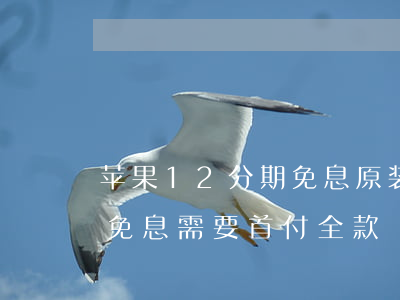 苹果12分期免息原装(苹果12分期24期免息需要首付全款)