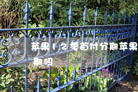 苹果12零首付分期(苹果12可以零首付分期吗)