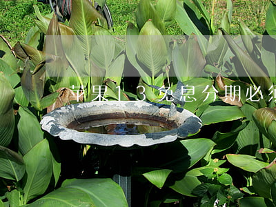 苹果13免息分期必须要信用卡吗