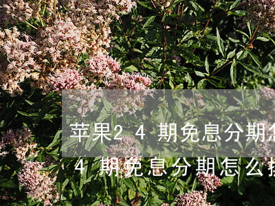 苹果24期免息分期怎么提前还款-苹果24期免息分期怎么提前还款啊