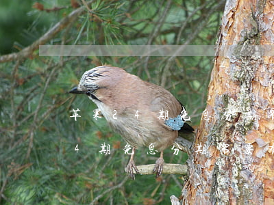 苹果24期免息分期需要有额度吗-苹果24期免息分期需要有额度吗安全吗
