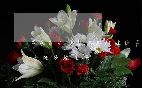 苹果Id贷款逾期被抹掉(苹果id贷逾期了手机还能用吗)