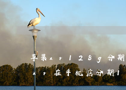 苹果xr128g分期12首付多少-苹果xr在手机店分期12期 能不能0首付