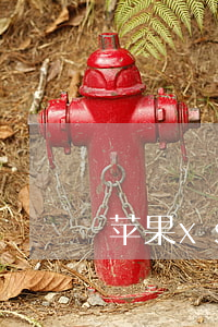 苹果xs免息分期付款