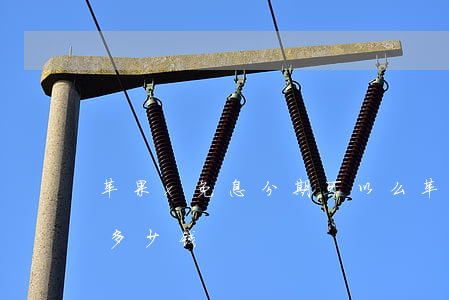 苹果x免息分期可以么 苹果x分期付款首付多少钱