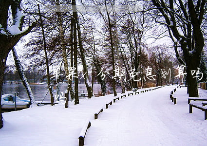 苹果x分期免息划算吗(苹果x分期免息划算吗)