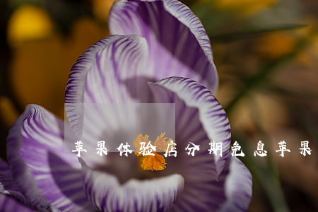 苹果体验店分期免息（苹果体验店分期免息）