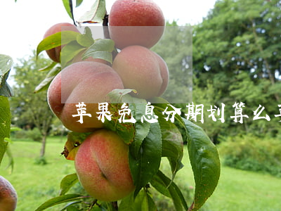 苹果免息分期划算么（苹果免息分期划算么）