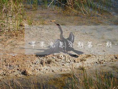 苹果免息分期第一期-苹果免息分期付款