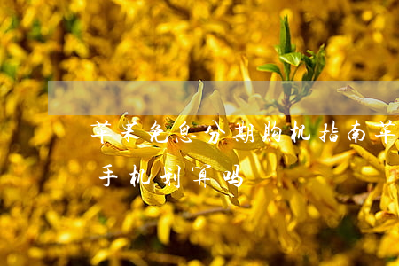 苹果免息分期购机指南(苹果手机免息分期买手机划算吗)