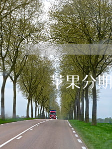 苹果分期有免息(苹果分期免息吗)