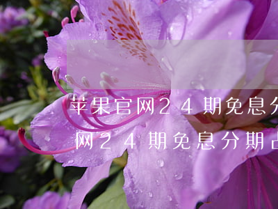 苹果官网24期免息分期需要额度-苹果官网24期免息分期占用信用卡额度吗?
