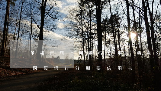 苹果官网上用招行信用卡免息分期-苹果官网买招行分期要信用卡
