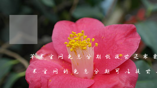苹果官网免息分期能提前还需要还利息-苹果官网的免息分期可以提前还款吗