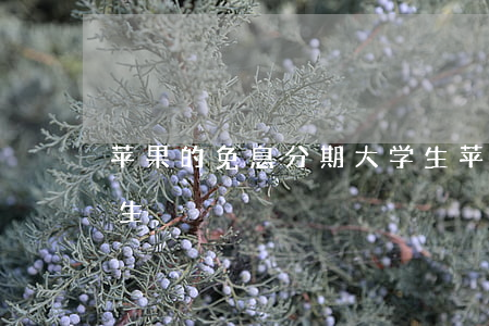 苹果的免息分期大学生(苹果的免息分期大学生)