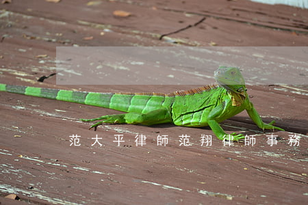 范大平律師(范翔律師事務所)