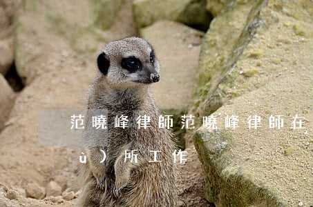 范曉峰律師(范曉峰律師在什么律師事務(wù)所工作)