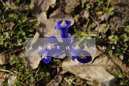 范炳德欠信用卡(范炳南簡(jiǎn)介)