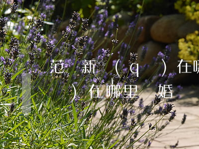 范縣新區(qū)在哪里離婚(范縣新區(qū)在哪里離婚)