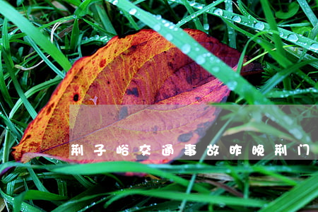 荆子峪交通事故(昨晚荆门发生车祸) 荆子峪交通事故(昨晚荆门发生车祸)