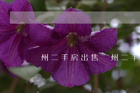 荊州二手房出售(荊州二手房出售信息碧波路)