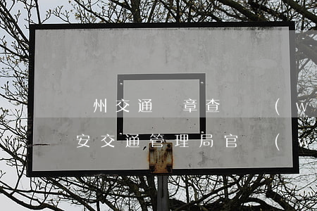 荊州交通違章查詢網(wǎng)(荊州市公安交通管理局官網(wǎng))