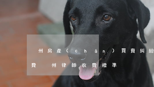 荊州房產(chǎn)買賣糾紛律師怎么收費(荊州律師收費標準)