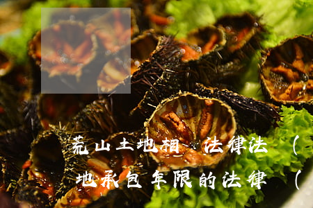 荒山土地相關法律法規(guī)(荒山荒地承包年限的法律規(guī)定)