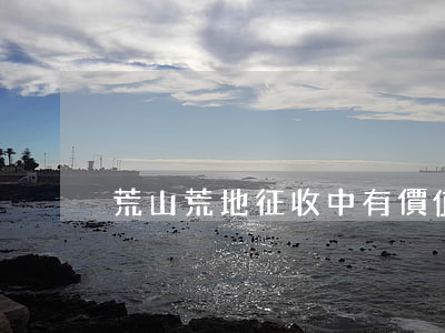 荒山荒地征收中有價值評估程序嗎